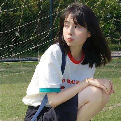 美国豚鼠